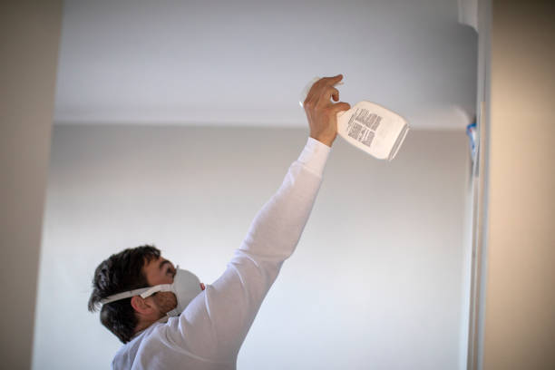 Best Black Mold Remediation in Ortonville, MN
