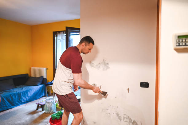Best Preventive Mold Services in Ortonville, MN